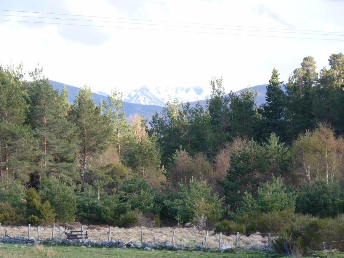 Tanleys B&B Grantown-on-Spey Kültér fotó